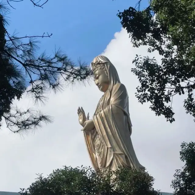 舟山｜普陀山來了就好越來越好。