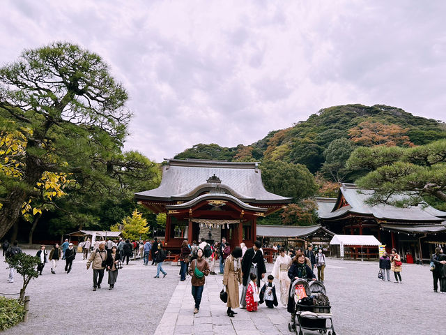 鶴岡八幡宮｜鎌倉最具代表性的神社散步路線 ⛩️🍁