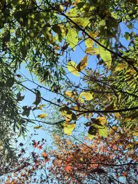 四明山十字褲徒步 上海-餘姚