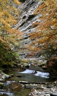 陝西秋日封神之境！黎坪紅葉美到失語