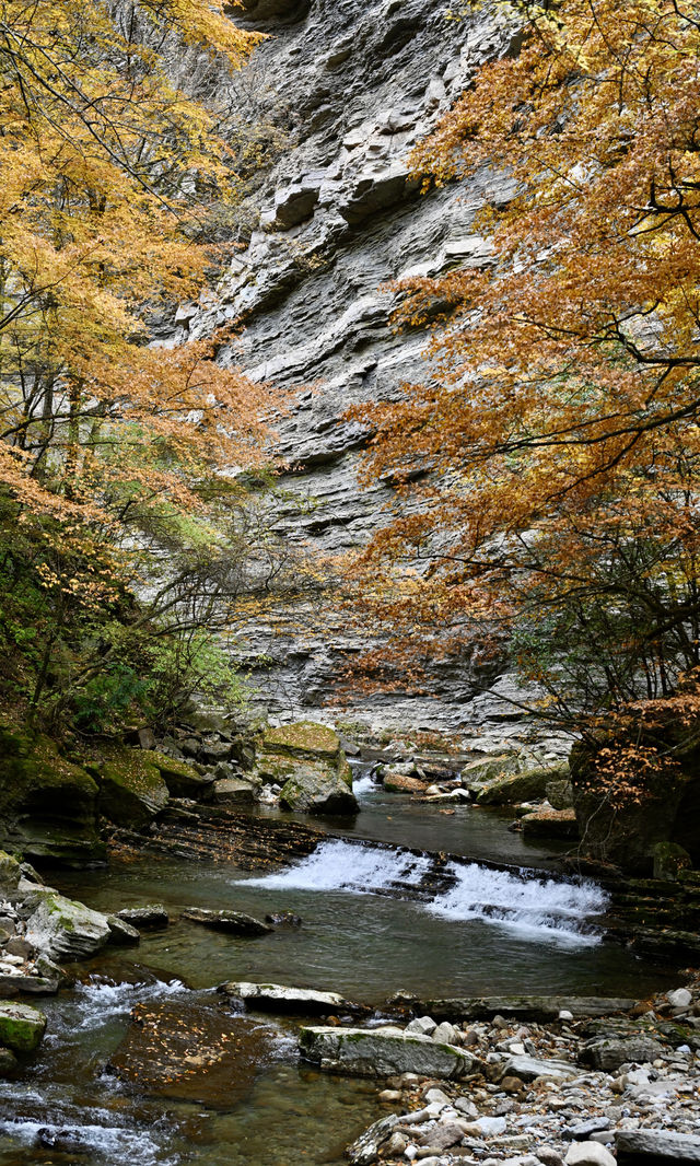 陝西秋日封神之境！黎坪紅葉美到失語