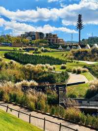 治癒系草原打卡地