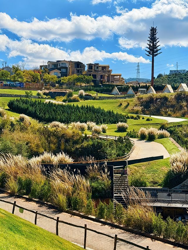 治癒系草原打卡地