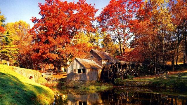 一次玩透加拿大!東西岸+無購物真香 一次玩透加拿大!東西岸+無購物真香