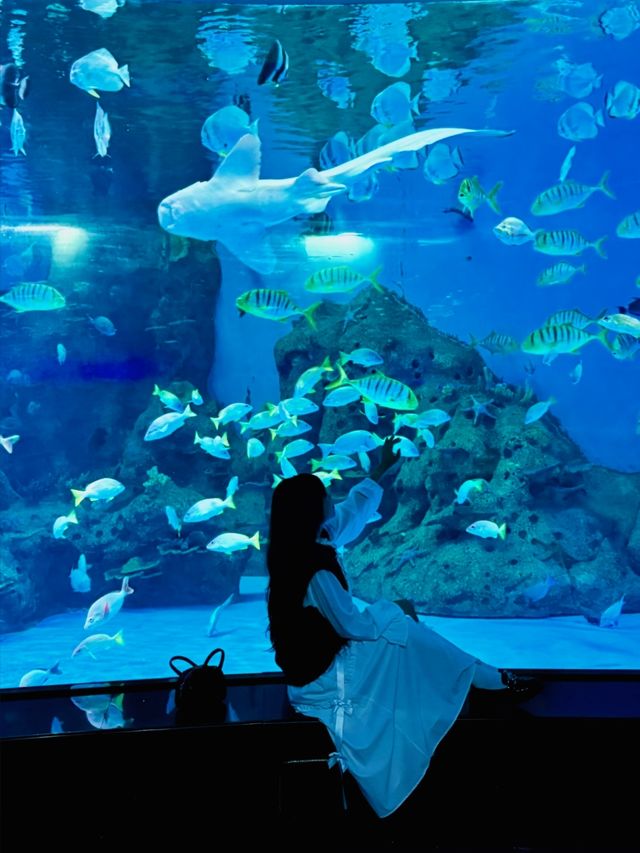 去泉州旅遊，花得最值得嘅一筆錢 週末去了一趟泉州，令我非常驚喜！ 這裡藏著一座能和長頸鹿親密接觸的度