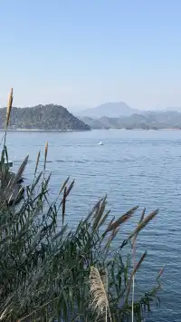 這裡不是瑞士！這裡是千島湖植物園