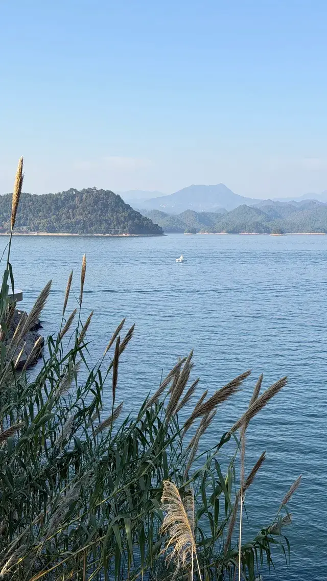 這裡不是瑞士！這裡是千島湖植物園
