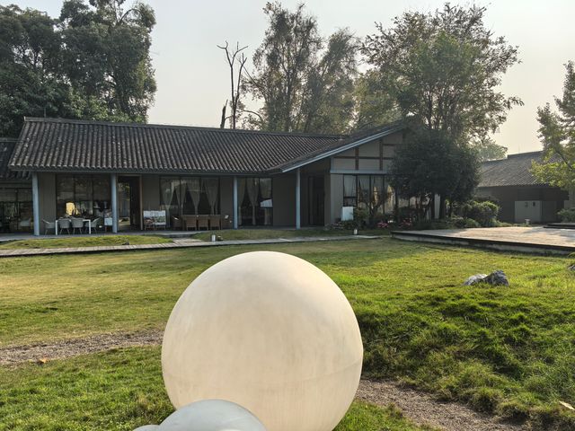 樂山旅遊必住！江景民宿直面樂山大佛