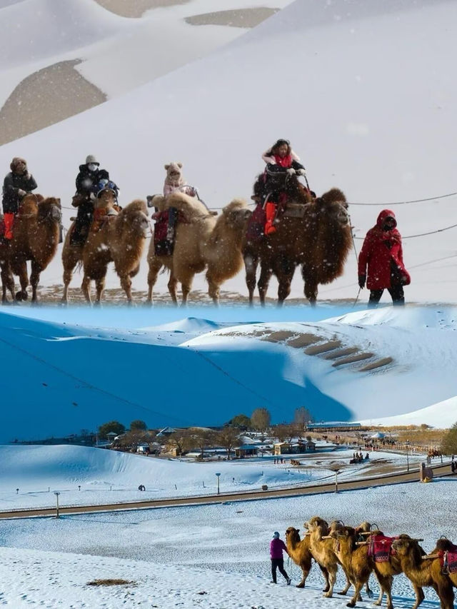 放棄長白山了!便宜一半的敦煌雪景先衝了! 放棄長白山了!便宜一半的敦煌雪景先衝了!