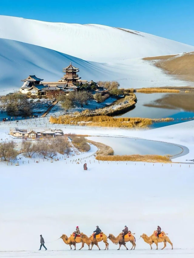 放棄長白山了!便宜一半的敦煌雪景先衝了! 放棄長白山了!便宜一半的敦煌雪景先衝了!