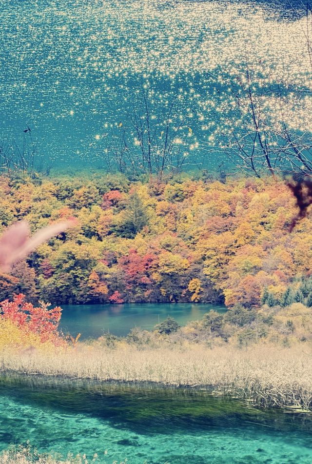 秋日童話九寨溝