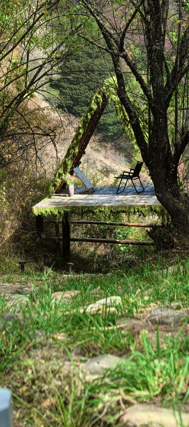 《藏南秋林裡：江波、雪峰與木屋的慢時光》