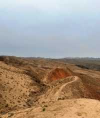 不擺架子只擺熱茶鴻達酒店