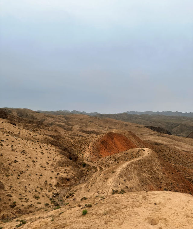 不擺架子只擺熱茶鴻達酒店 不擺架子只擺熱茶鴻達酒店