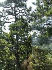 天橋勝境~非橋似橋的意境!