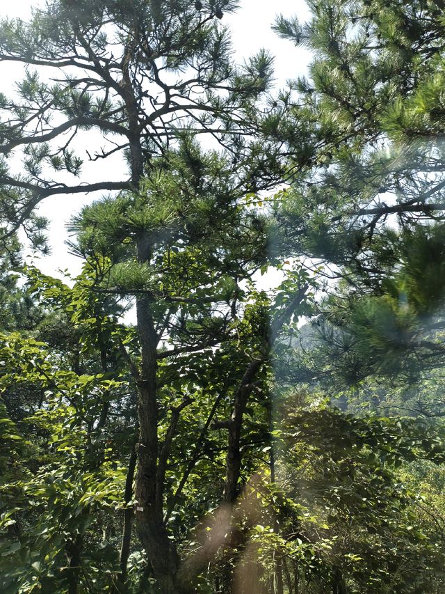 天橋勝境~非橋似橋的意境! 天橋勝境~非橋似橋的意境!