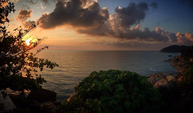 維卡薩瑜伽度假酒店|在蘇梅島找回內心的寧靜 維卡薩瑜伽度假酒店 泰國蘇梅島211 維卡薩瑜伽度假酒店|在蘇梅島找回內心的寧靜 維卡薩瑜伽度假酒店 泰國蘇梅島211