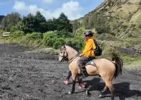 bobromo火山實拍！勇敢的人先享受世界