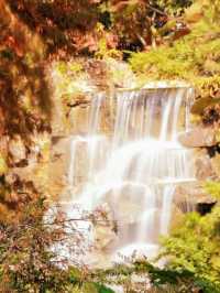 秋日魔都光影秘境