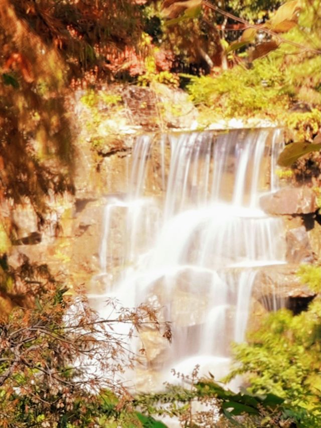 秋日魔都光影秘境