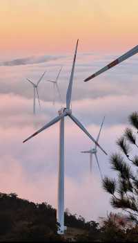 大理風車山!闖進童話牧場