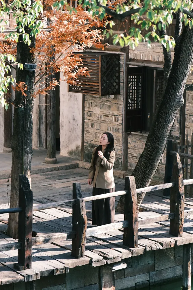 🪾千年銀杏，恰逢濮院橙黃橘綠時