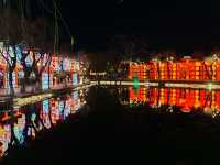 昆明大觀公園新春燈會(八)