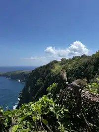 在巴厘島追到了!凌晨五點出海 被狠狠獎賞