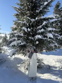 為了這18張圖，我特地飛了一趟阿勒泰（附攻略