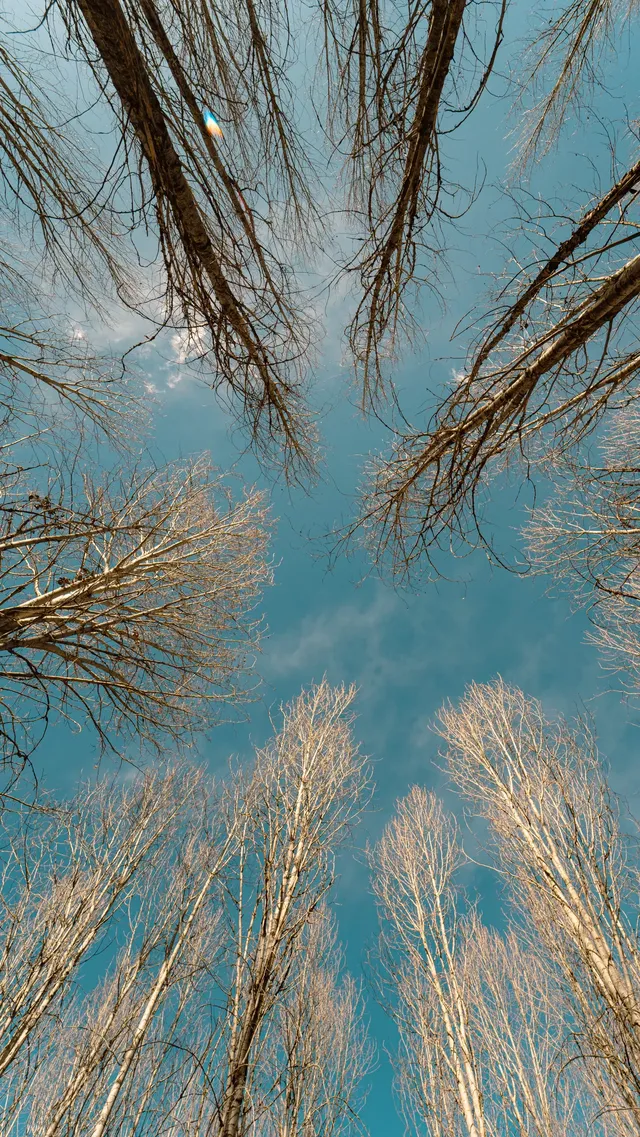 川西自駕三千公里,就是為了這十八張照片 川西自駕三千公里,就是為了這十八張照片