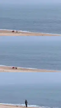 淡季週末日照看海