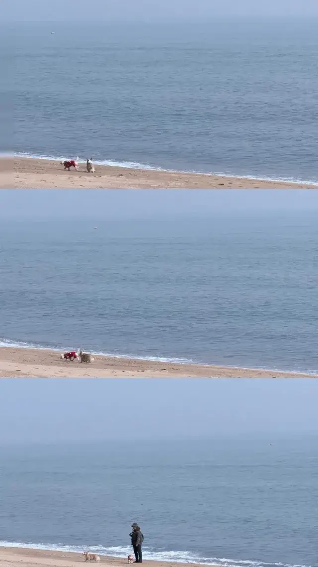 淡季週末日照看海 淡季週末日照看海