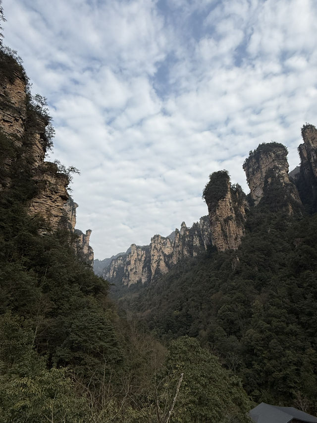 張家界 / 將軍列隊 張家界 / 將軍列隊