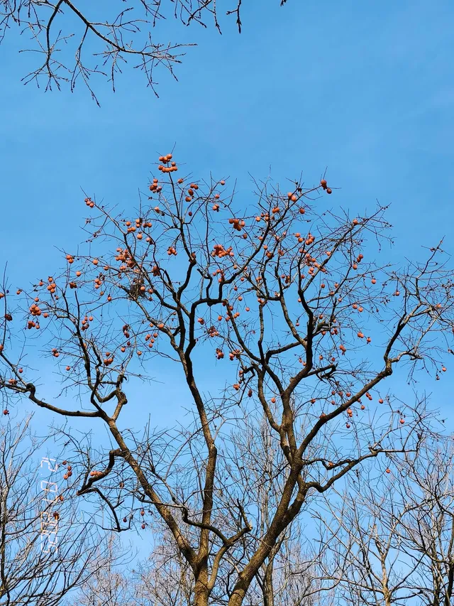 我眼中的青州 我眼中的青州
