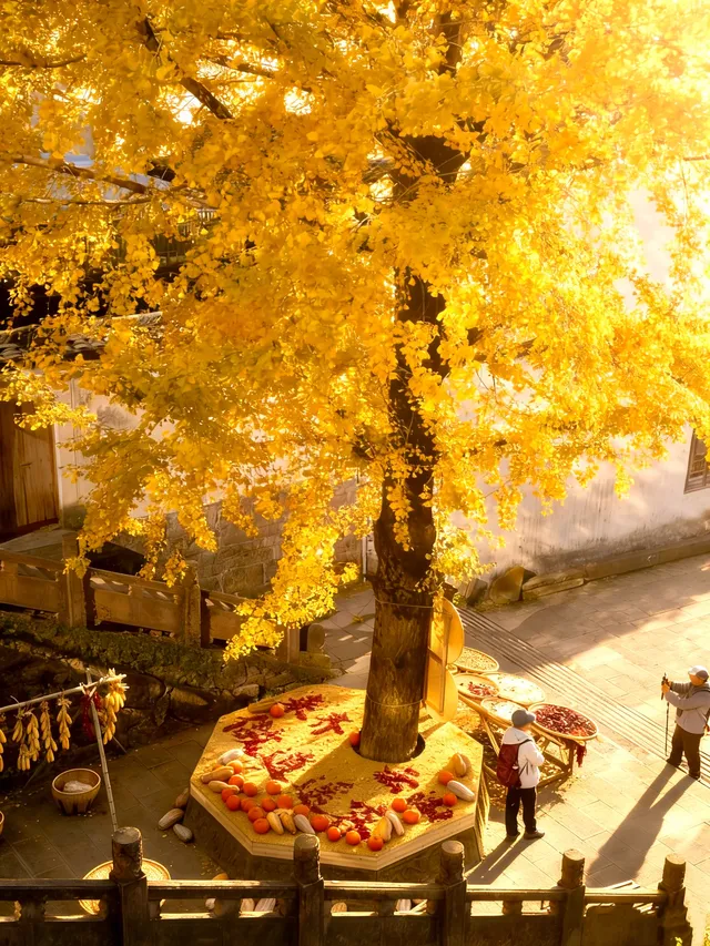 南京周邊小眾賞秋出片地!好怕它會火 南京周邊小眾賞秋出片地!好怕它會火