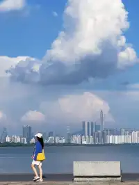 免費|深圳18個出片的地方(附定位路線)