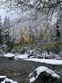 沉浸式體驗 『理小路』