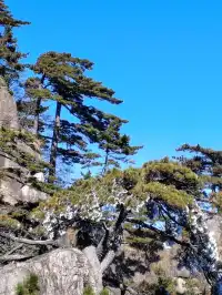 黃山2天|北上南下不費腿