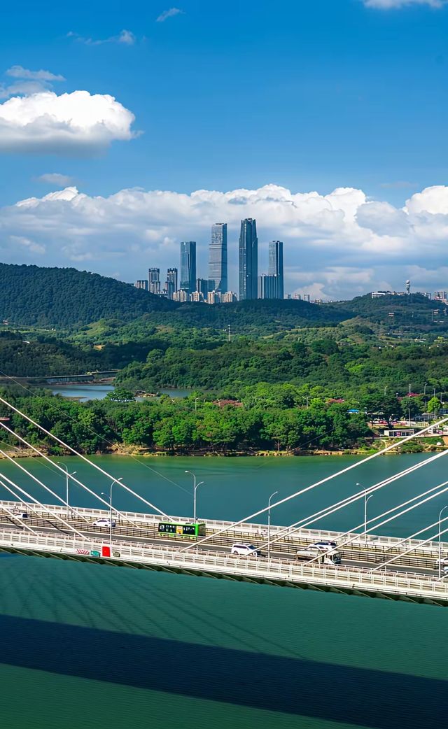 綠城南寧的晴天絕了 綠城南寧的晴天絕了