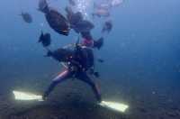 巴厘島,度假天堂