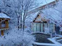 去了還想去的長白山,到底有啥?