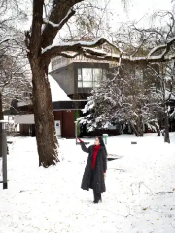 北海道雪又開始下了。