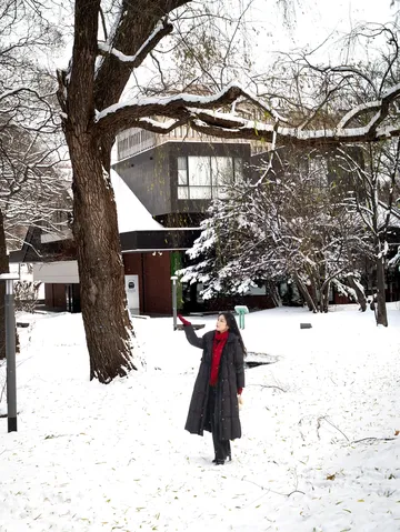 北海道雪又開始下了。