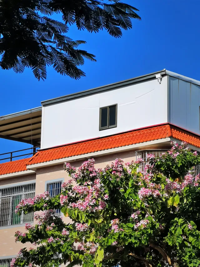 廈門新晉網紅漁村打卡街道公園|同安後田村