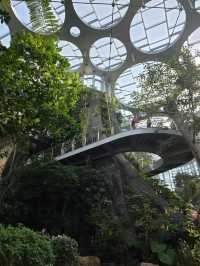 Нет, это не Сингапур! Шанхай сделал лучше!