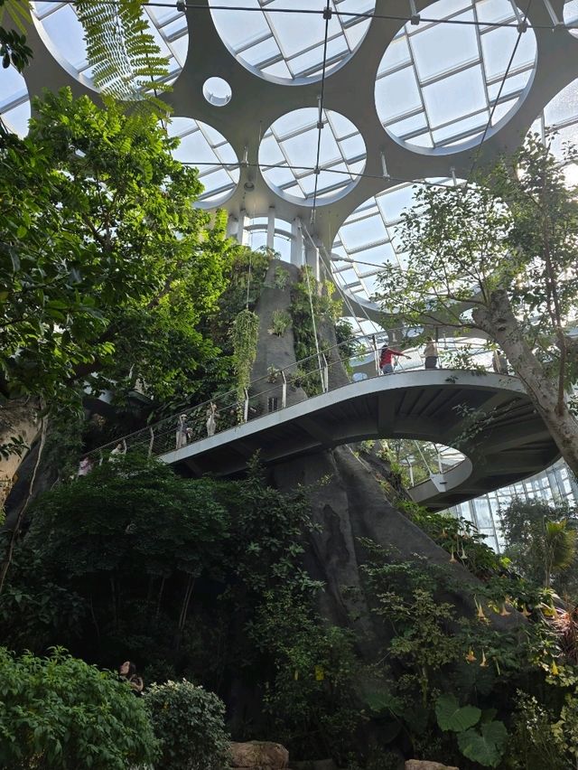 Нет, это не Сингапур! Шанхай сделал лучше! Нет, это не Сингапур! Шанхай сделал лучше!