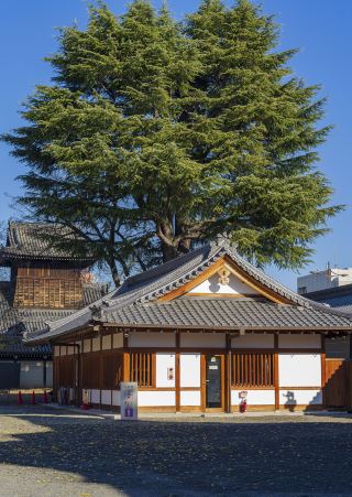 วัดนิชิฮงกันจิที่เงียบสงบและไม่ค่อยมีคนรู้จัก