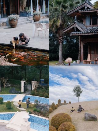 ไท่ซุนเยว่หลานเช่อ | ตัวเลือกยอดนิยมสำหรับเด็ก ๆ และการสังสรรค์รอบเมืองเหวินโจวในช่วงเทศกาลตรุษจีน