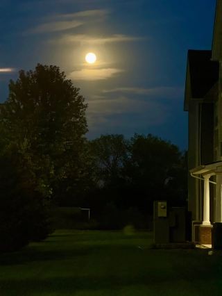 Ithaca Autumn Stroll: A Calm Trip