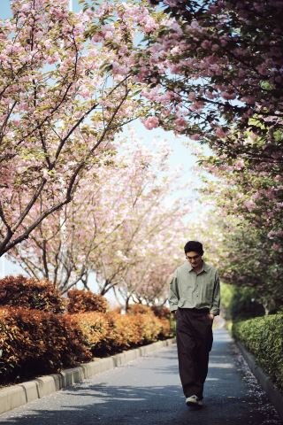 昆山の遅咲き桜の秘境、この桜並木は美しすぎて反則級！